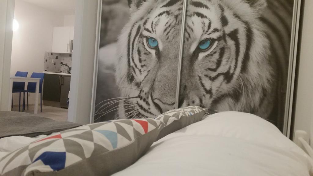 שצ'צ'ין Bedroom Apartments Krzywoustego 14 חדר תמונה